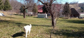 Farma pod Wulkanem, Lesna